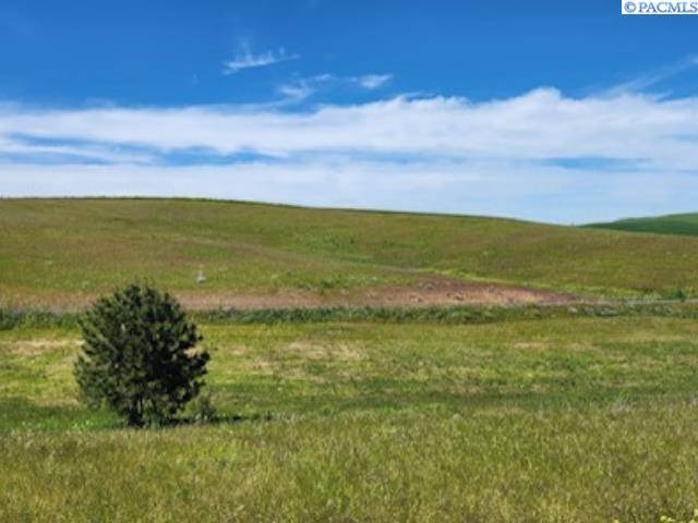 Colfax, WA 99111,Lot 9 Red Tail Ridge