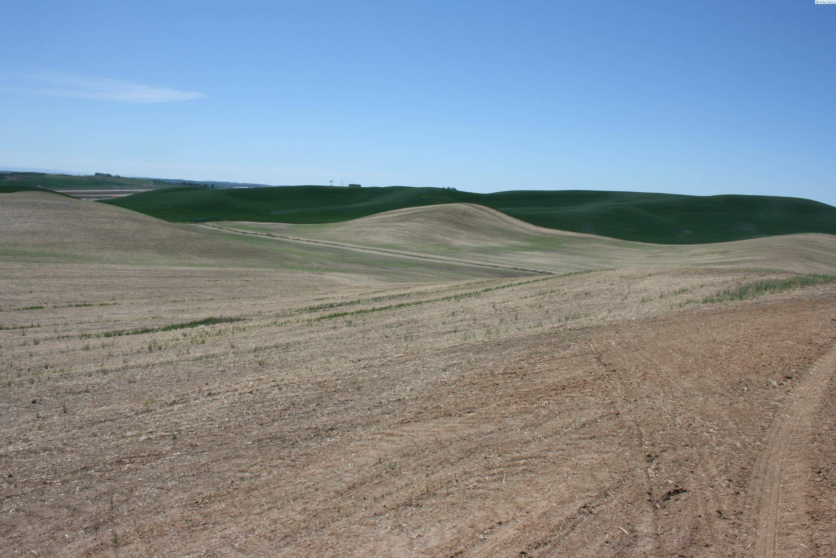 Pullman, WA 99163,31 Golden Wheat Lane
