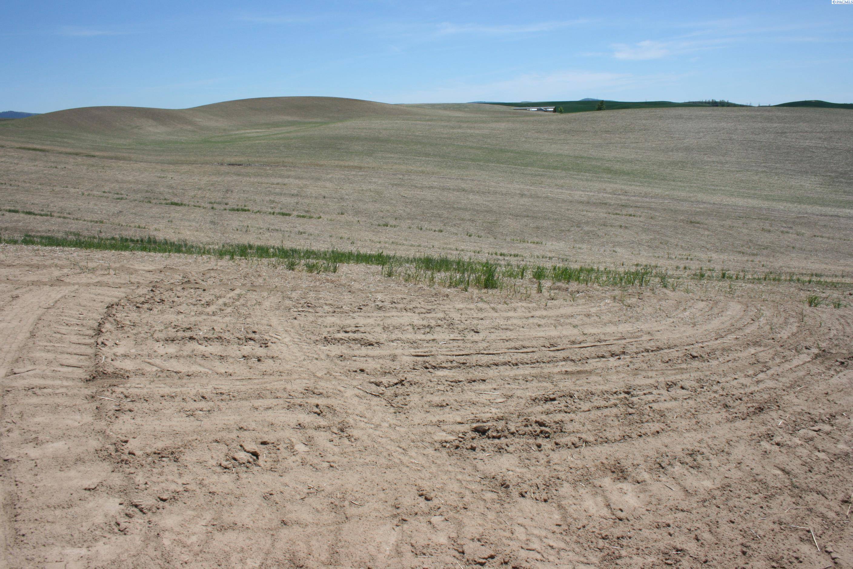 Pullman, WA 99163,31 Golden Wheat Lane