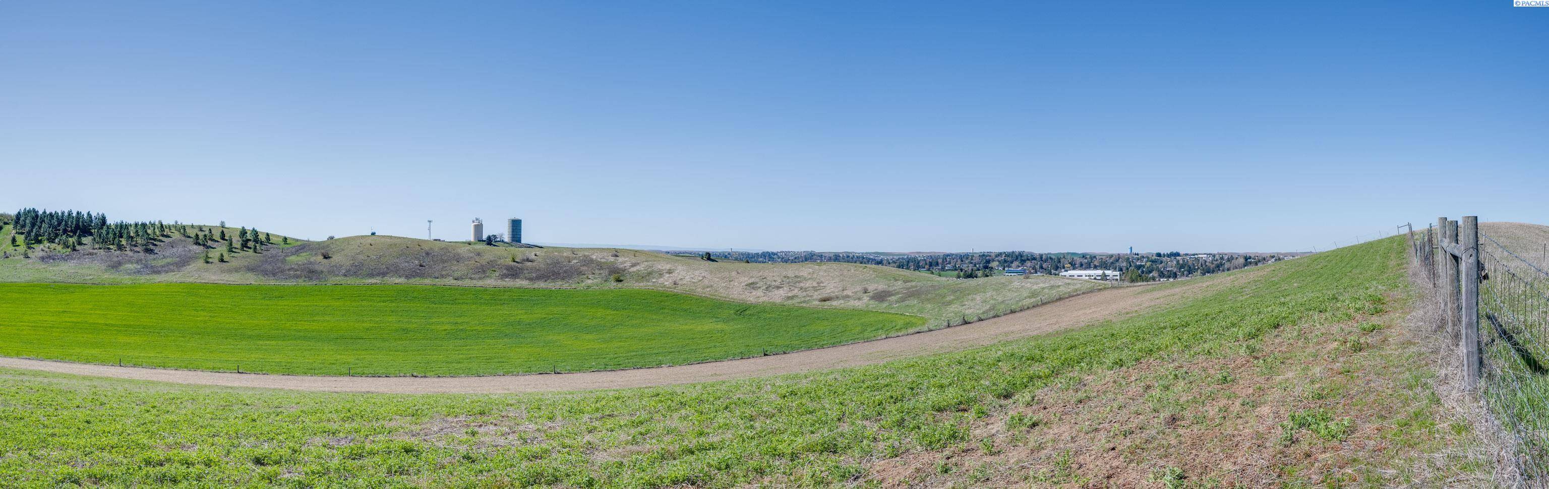 Pullman, WA 99163,1283 Kitzmiller Rd