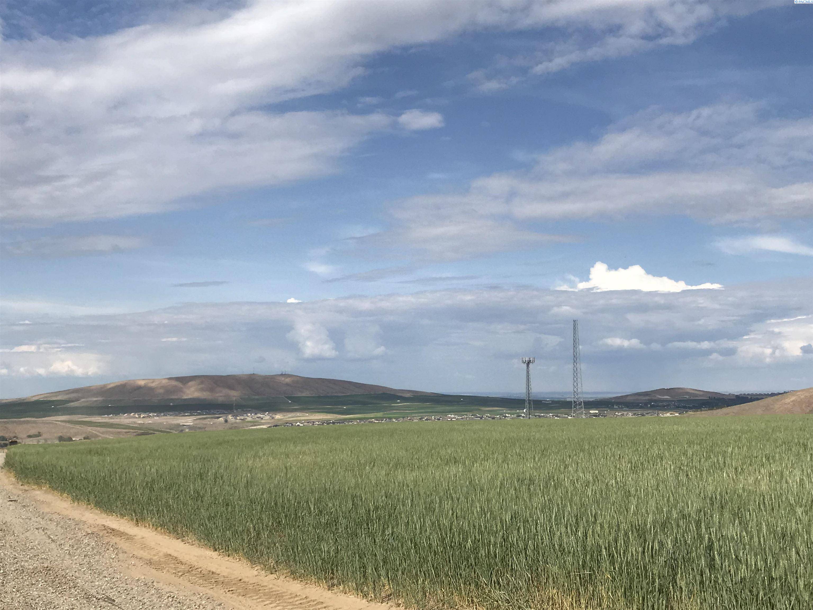 Kennewick, WA 99338,15325 S Badger Road