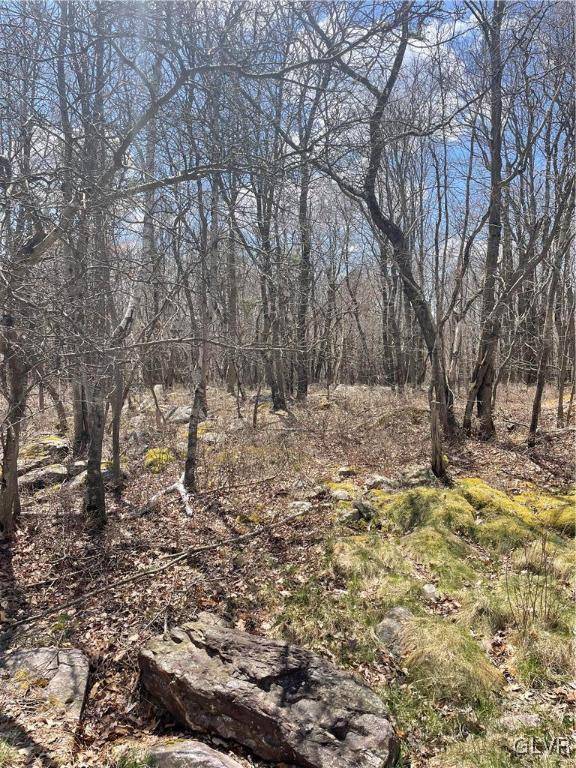 Tunkhannock Township, PA 18610,Buck Hill Rd 72
