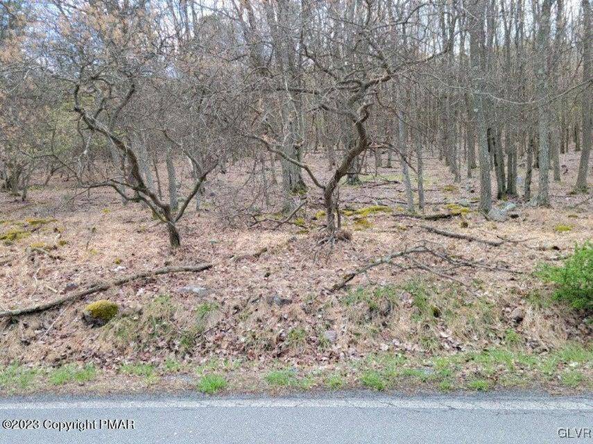 Tunkhannock Township, PA 18210,408 Fawn LN #18210