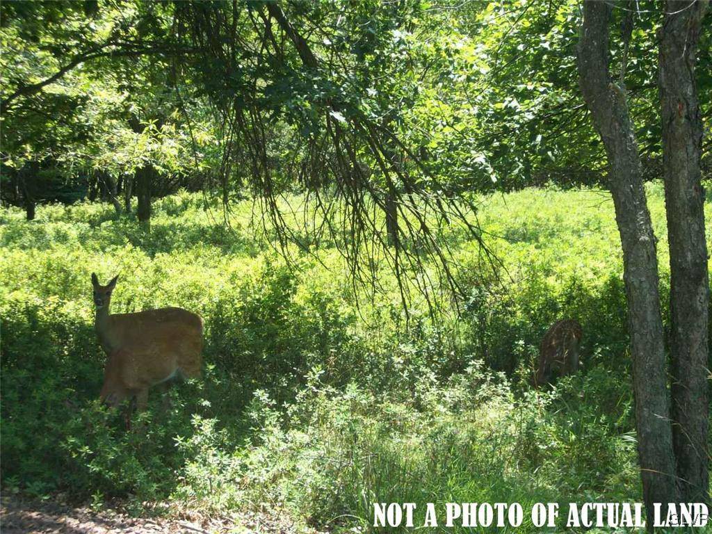 Penn Forest Township, PA 18210,39 Towamensing TRL