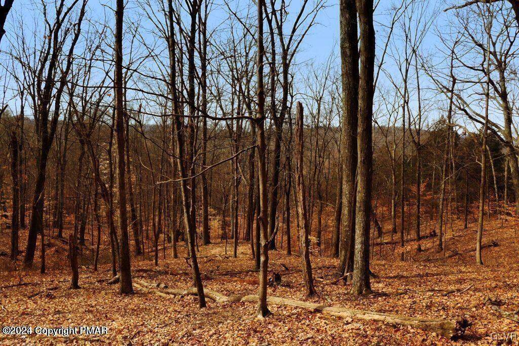 Penn Forest Township, PA 18210,406 Deerfoot LN