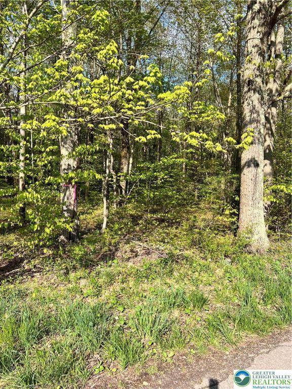 Tunkhannock Township, PA 18610,318 Birch DR