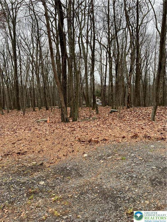 Lehman Twp, PA 18328,302 Traverse RD