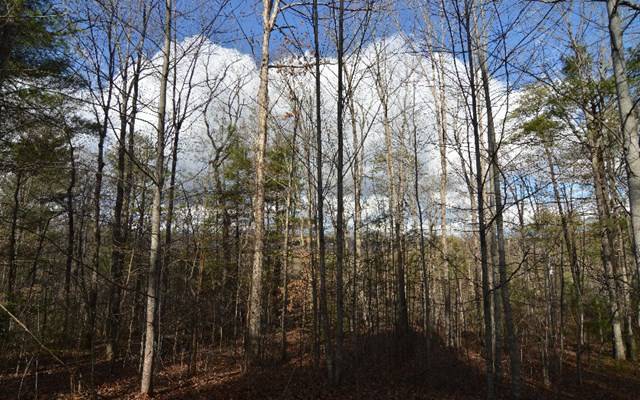 Blairsville, GA 30512,Lot 26 Coosa Bend