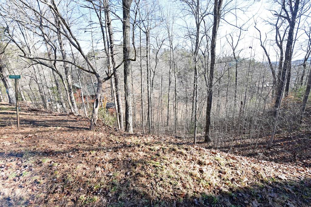 Murphy, NC 28906,00 Frank Lane