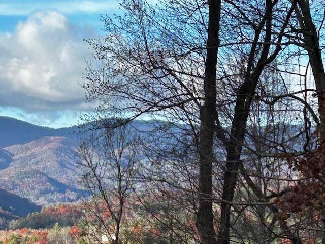 Murphy, NC 28906,TBD Upper Peachtree Road