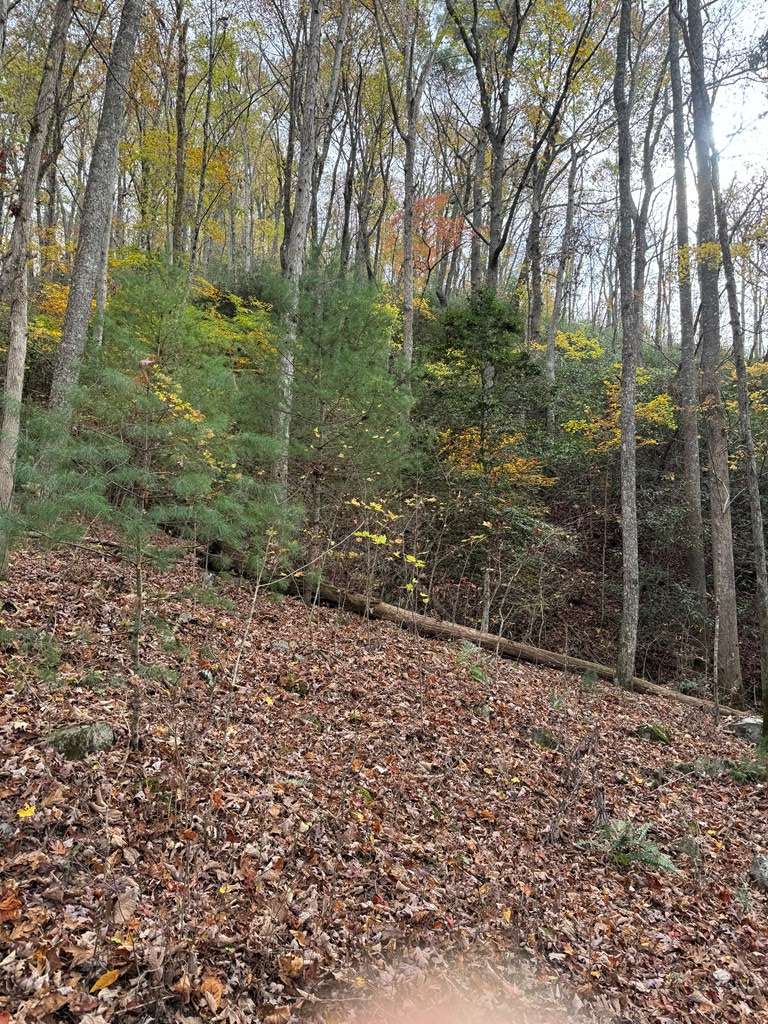 Brasstown, NC 28902,00 Heritage Trl