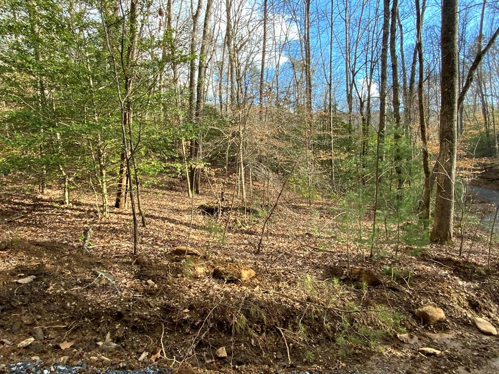 Murphy, NC 28906,Lot 16 Ivy Log Rd