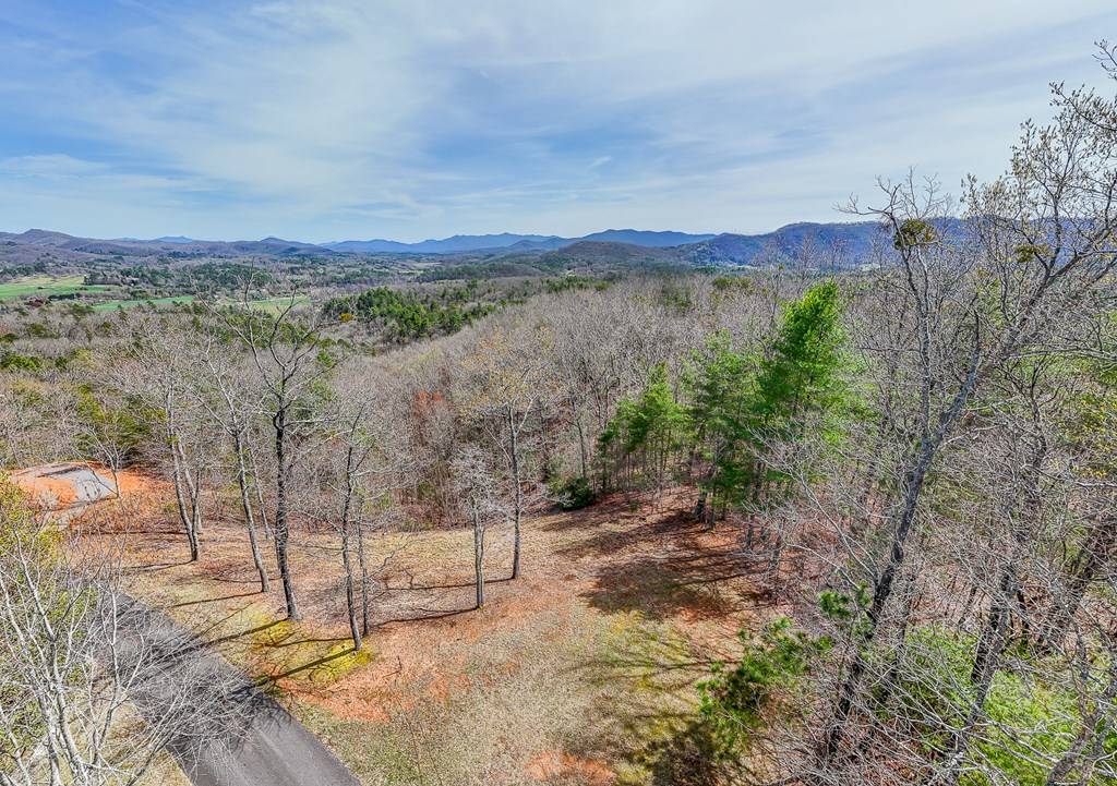 Murphy, NC 28906,594 Brasstown View Road