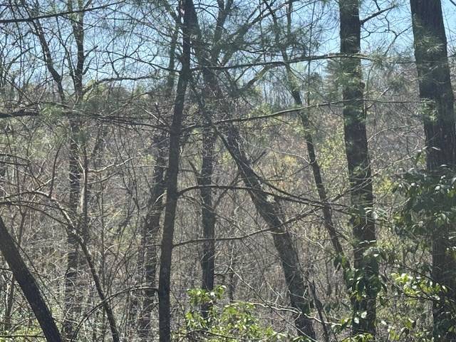 Andrews, NC 28901,000 Holland Farm Road