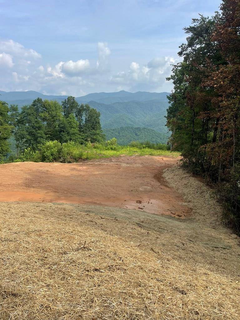 Andrews, NC 28901,00 Cahill Dr