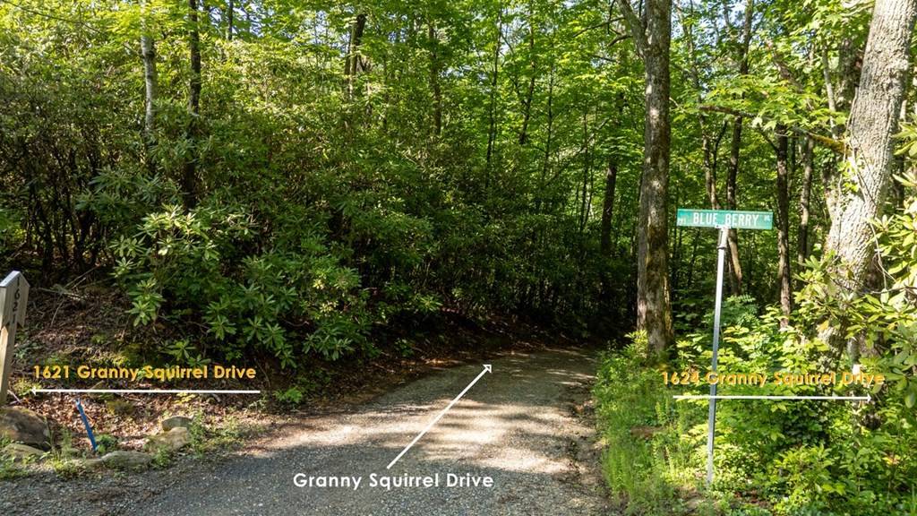 Andrews, NC 28901,1621 Granny Squirrel Drive