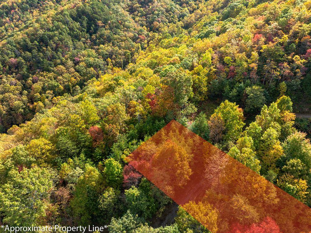 Andrews, NC 28901,Lot 51 Grand View Falls