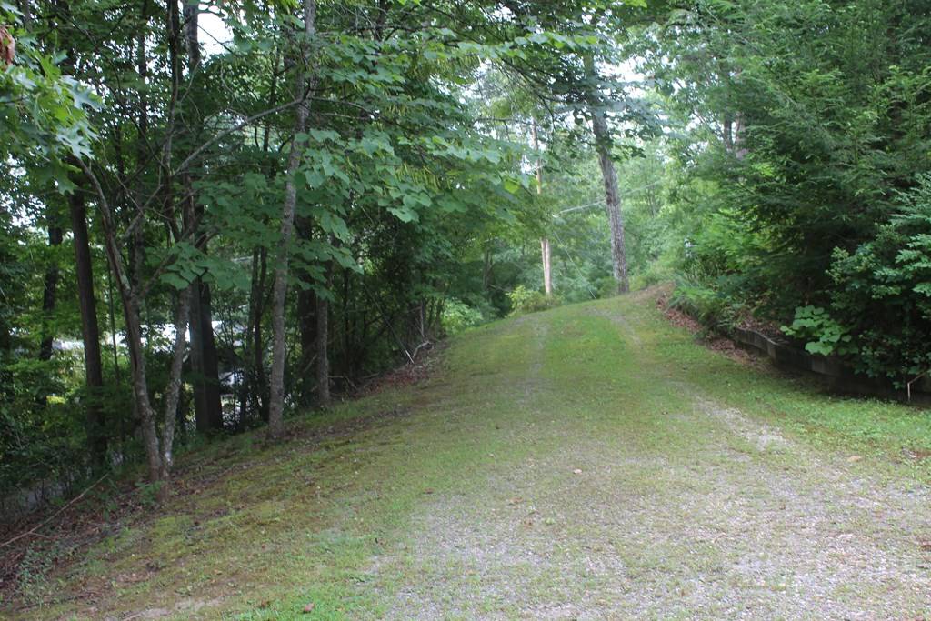 Marble, NC 28905,36 Upper Ridge Rd