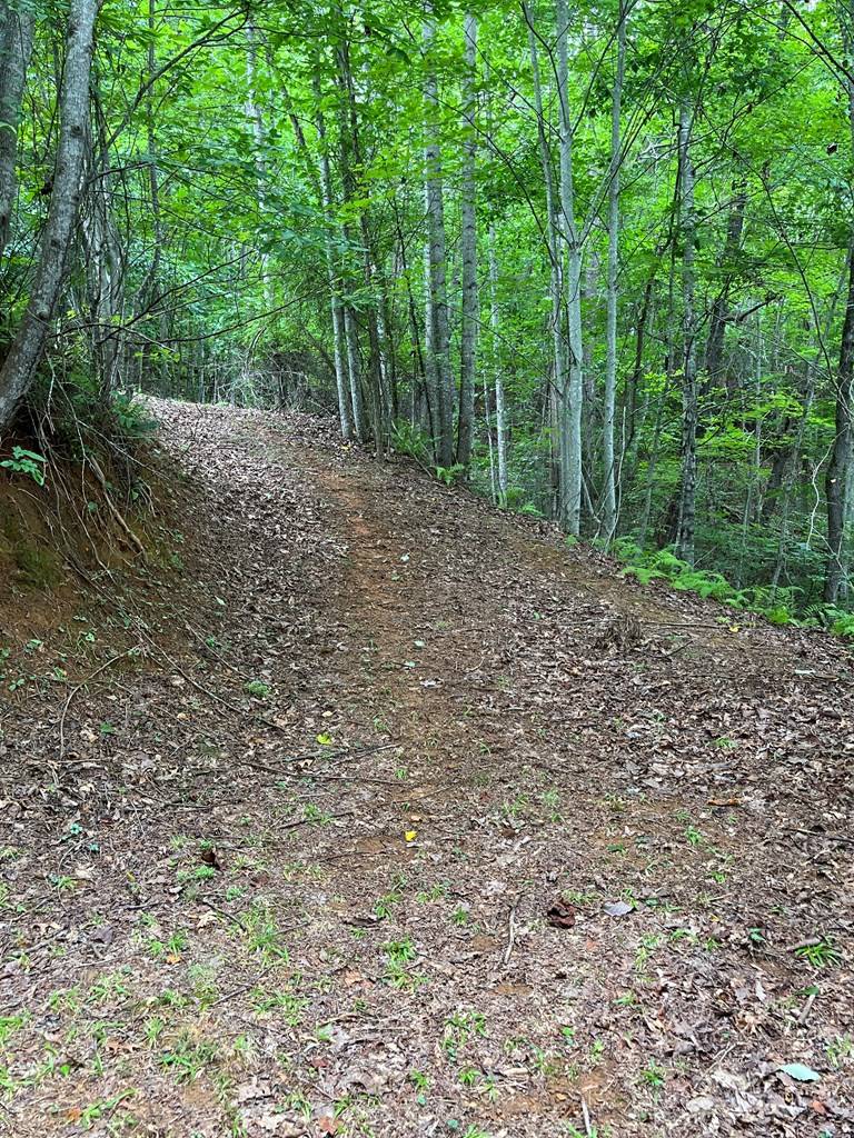 Murphy, NC 28906,Lt 527-3 Farmers Top Drive