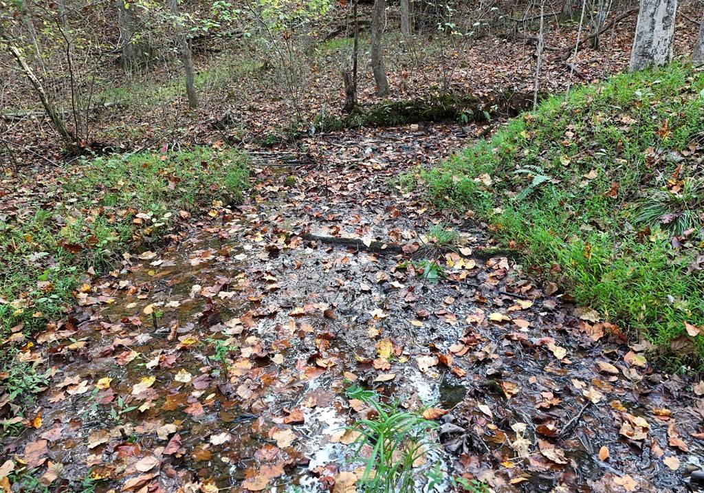 Young Harris, GA 30582,4742 Timberline Sunset Drive