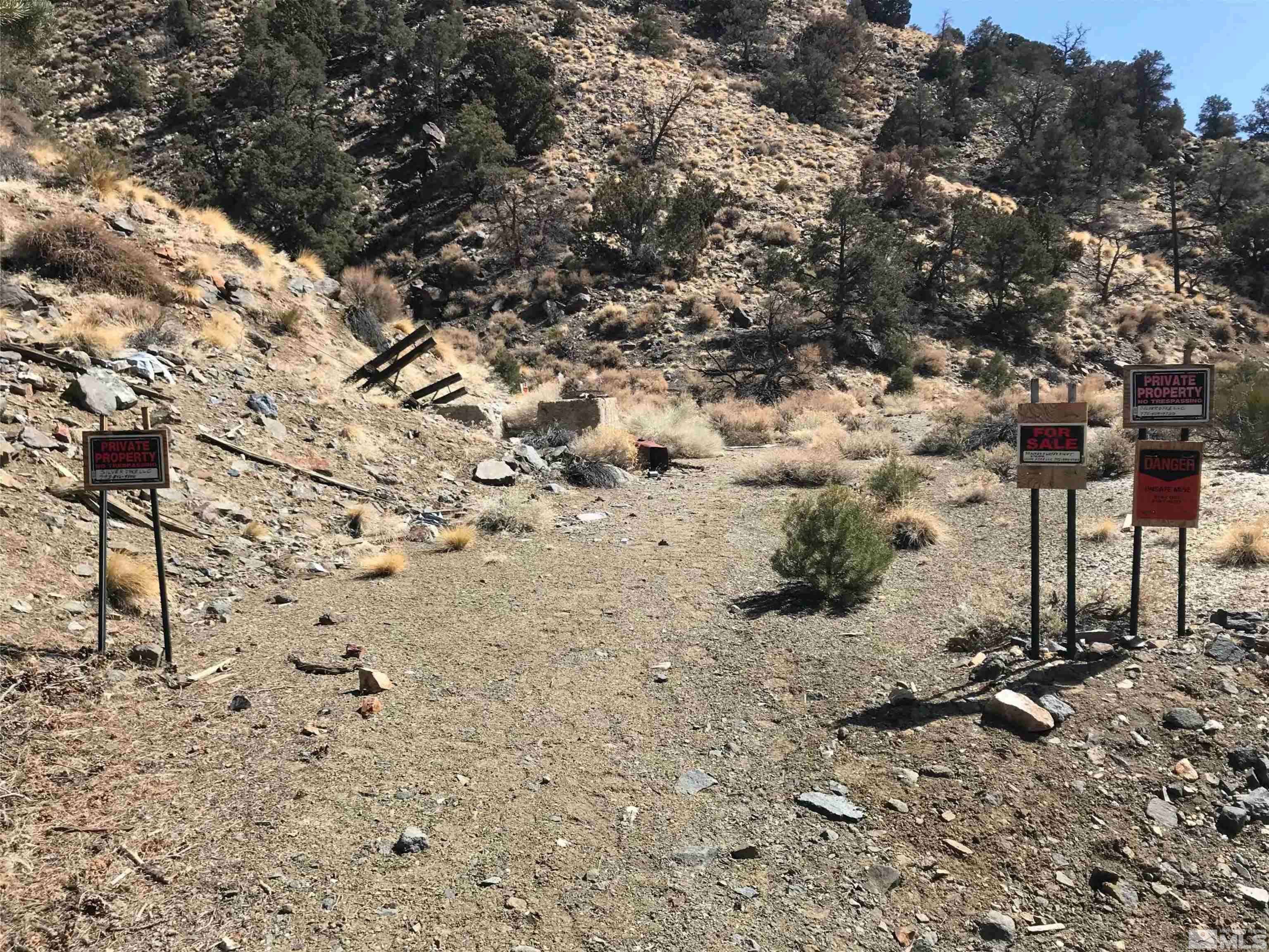 Mina, NV 89422,(Silver Dyke Mine)