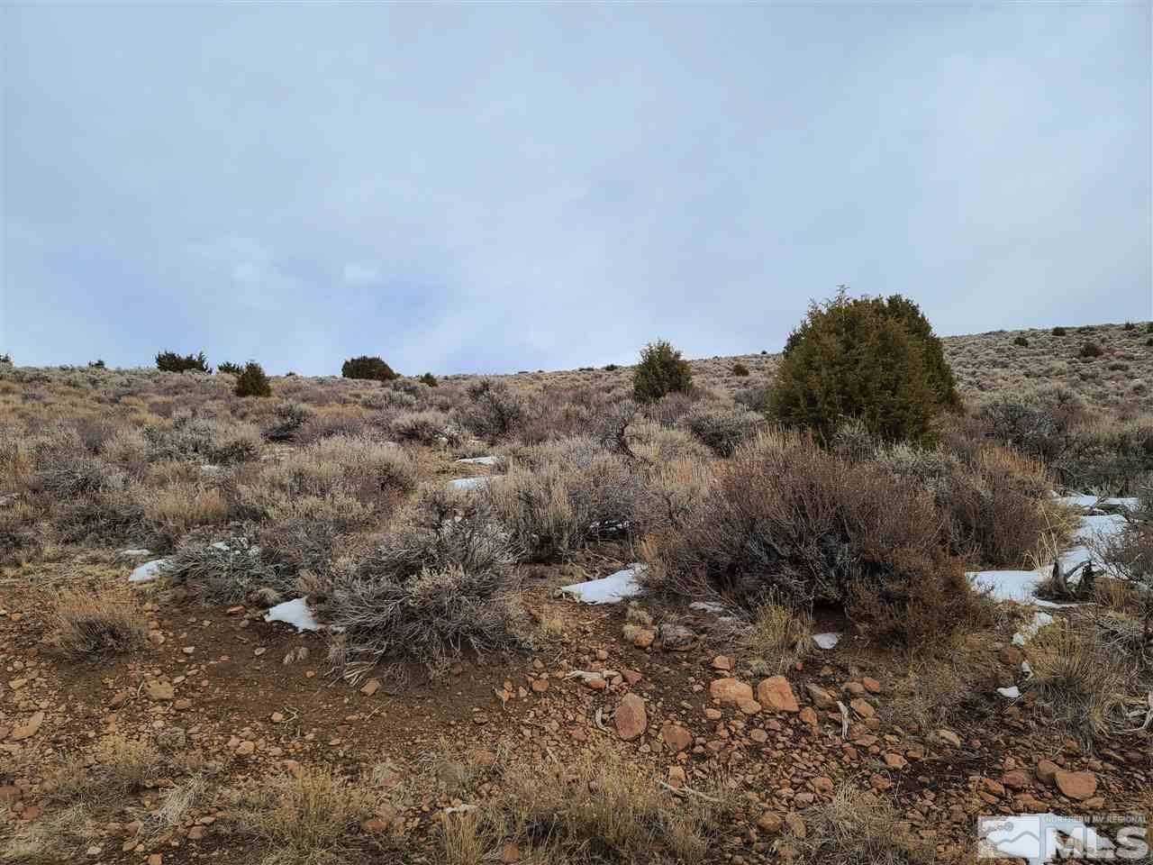 Reno, NV 89502,0 Pond Peak RD Road