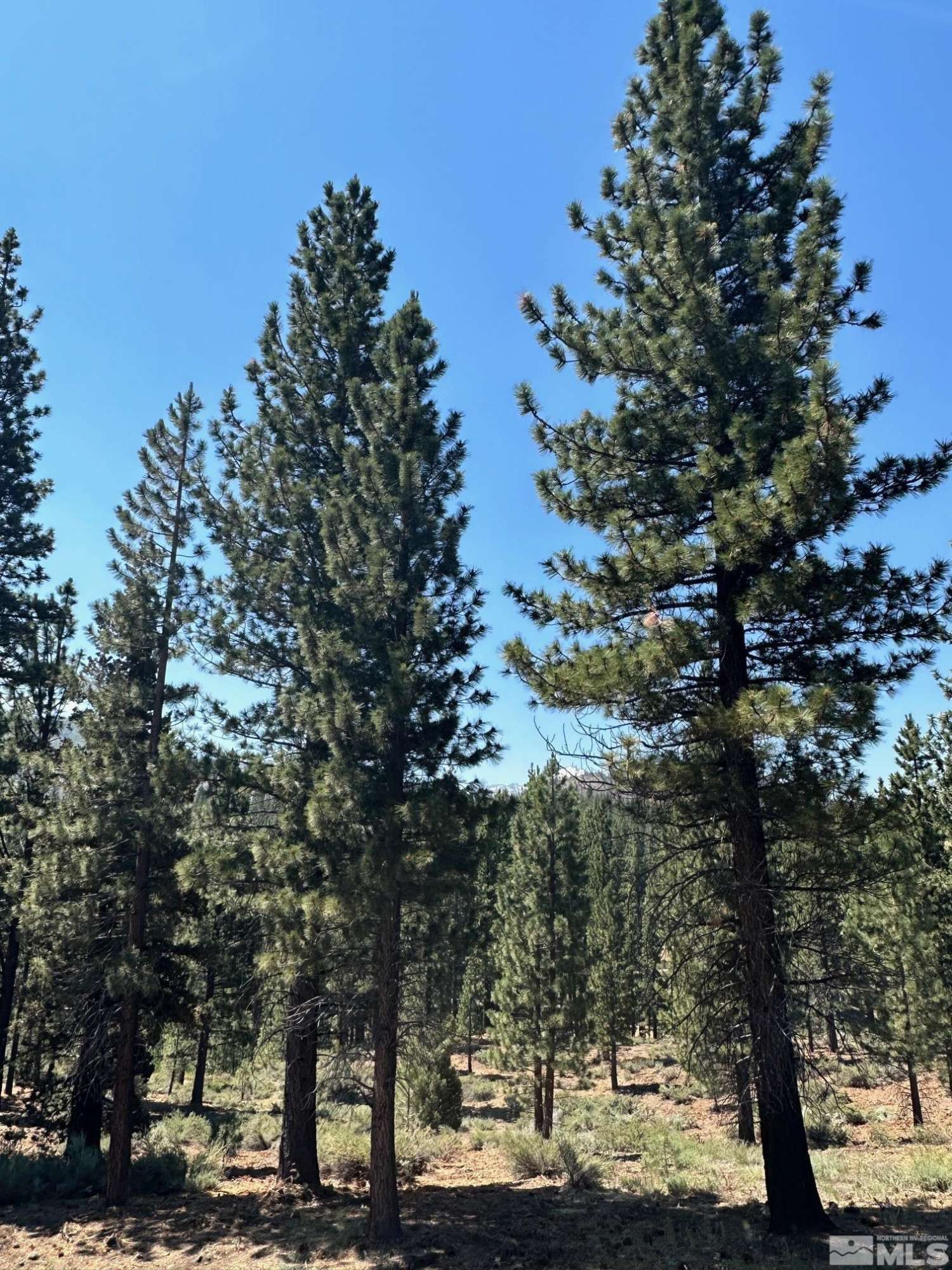 Markleeville, CA 96120,Lot 2 Raymond VW