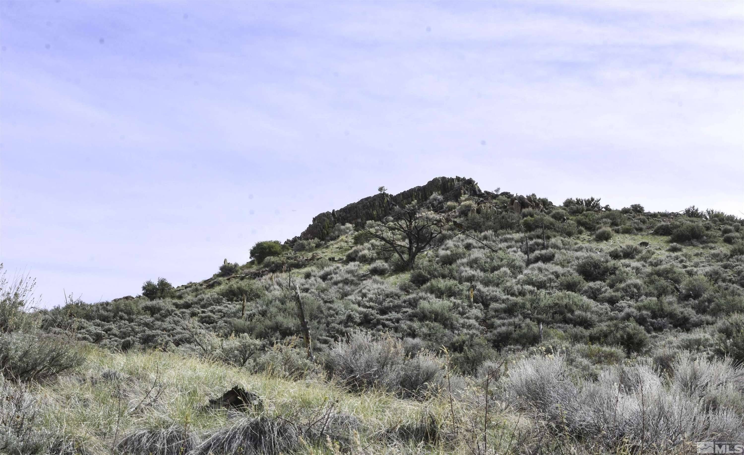 Gardnerville, NV 89410,TBD China Springs RD Road