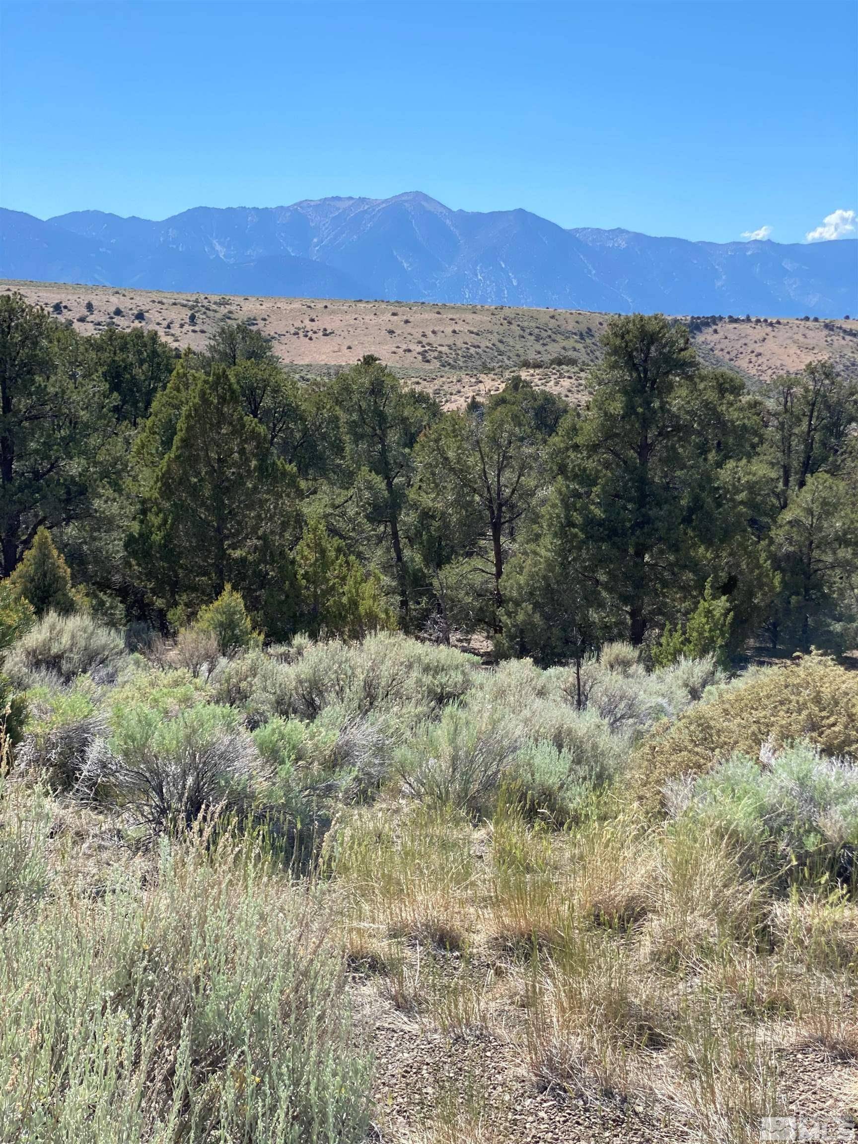 Gardnerville, NV 89410,TBD China Springs (east