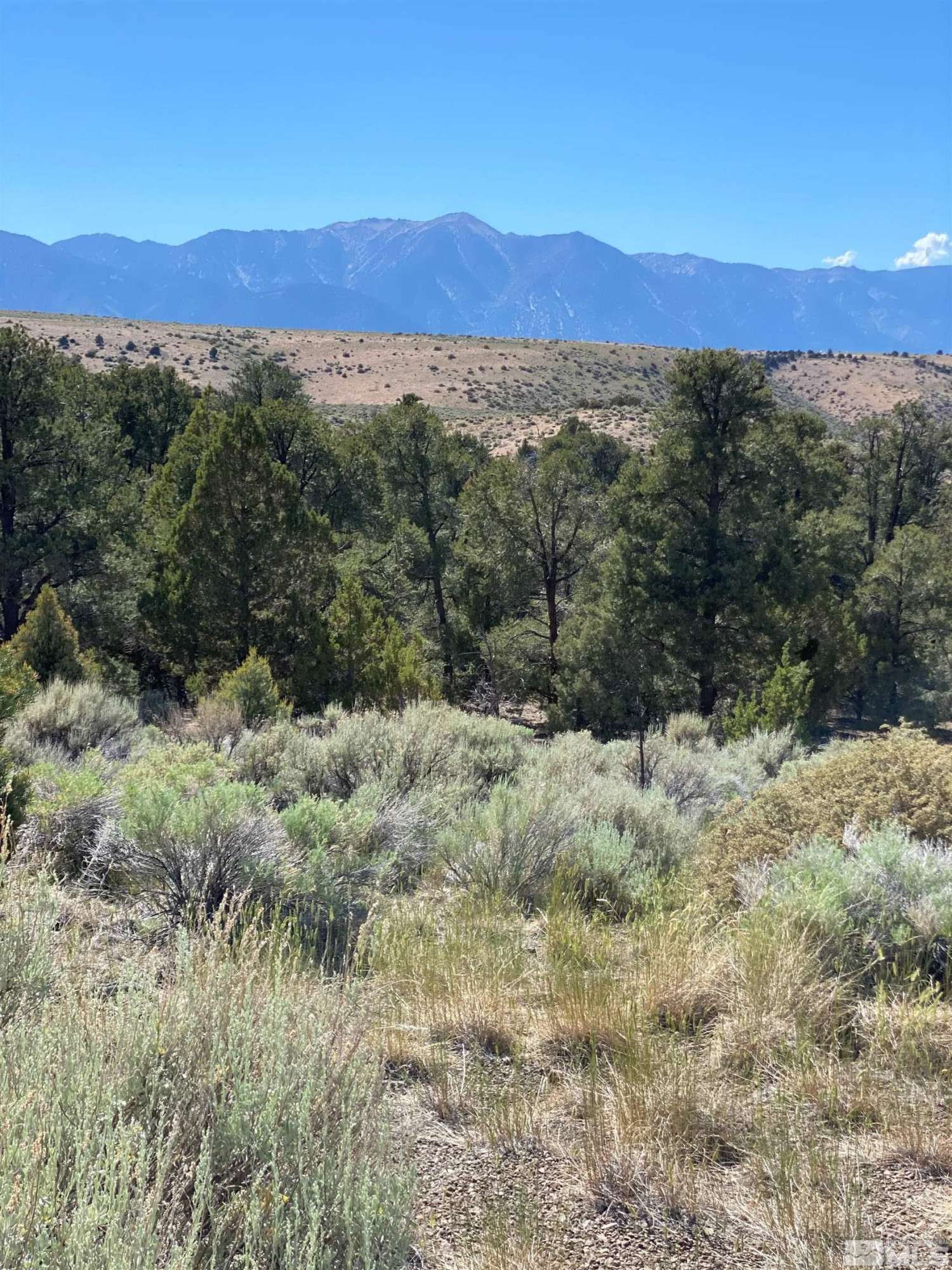 Gardnerville, NV 89410,TBD China Springs (east lot 3) #3