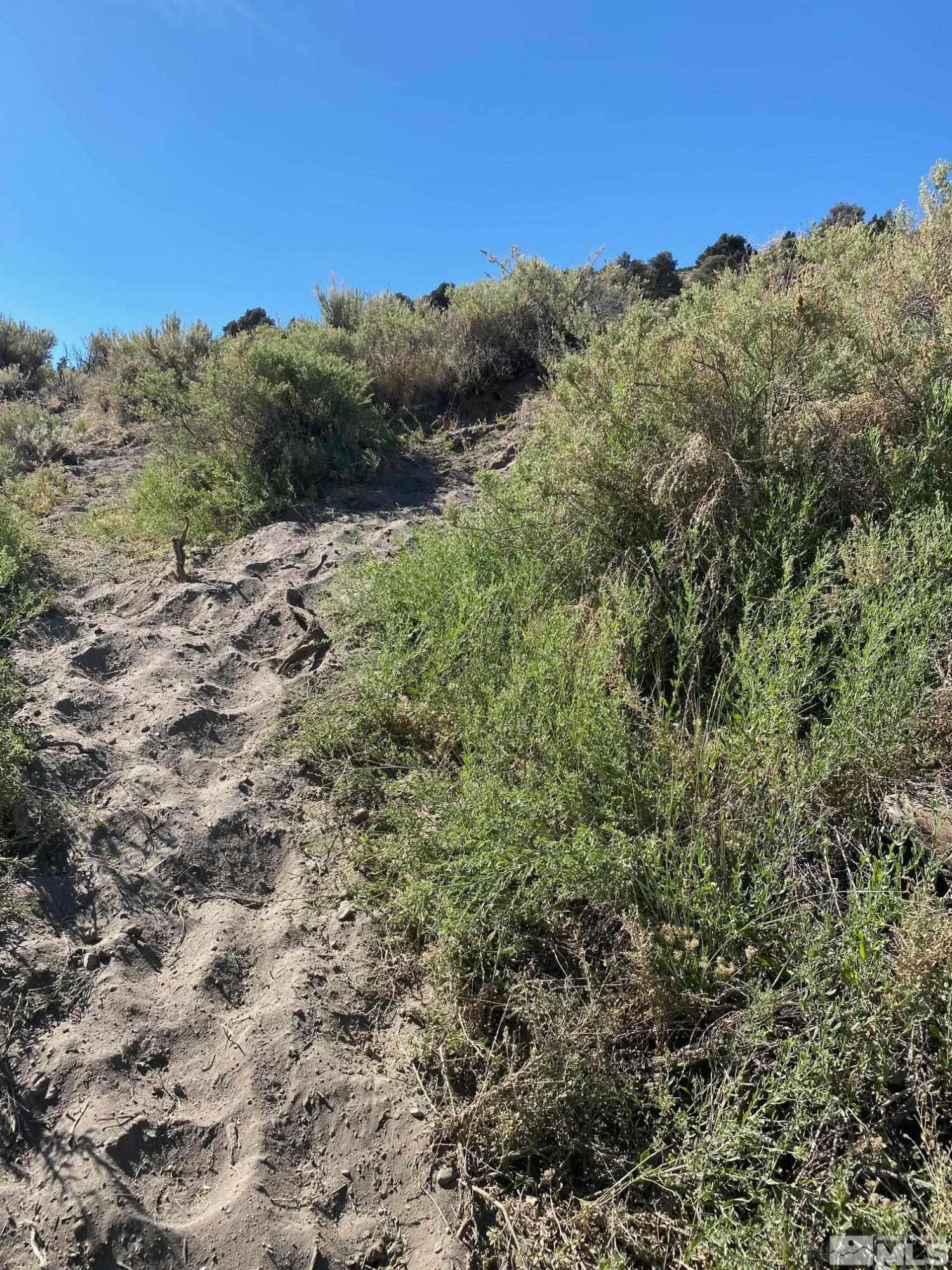 Gardnerville, NV 89410,tbd Behind City of Refuge (7)