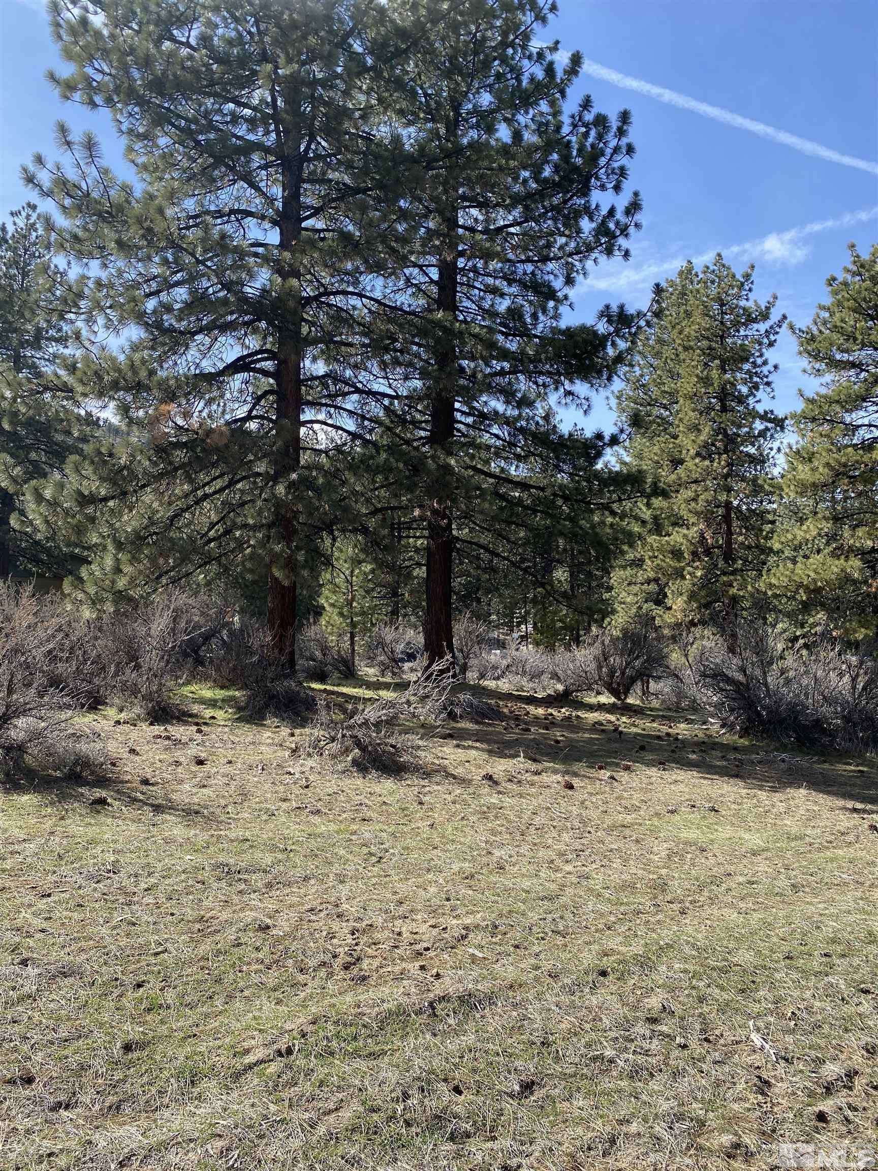 Carson City, NV 89703,4300 Meadow Wood
