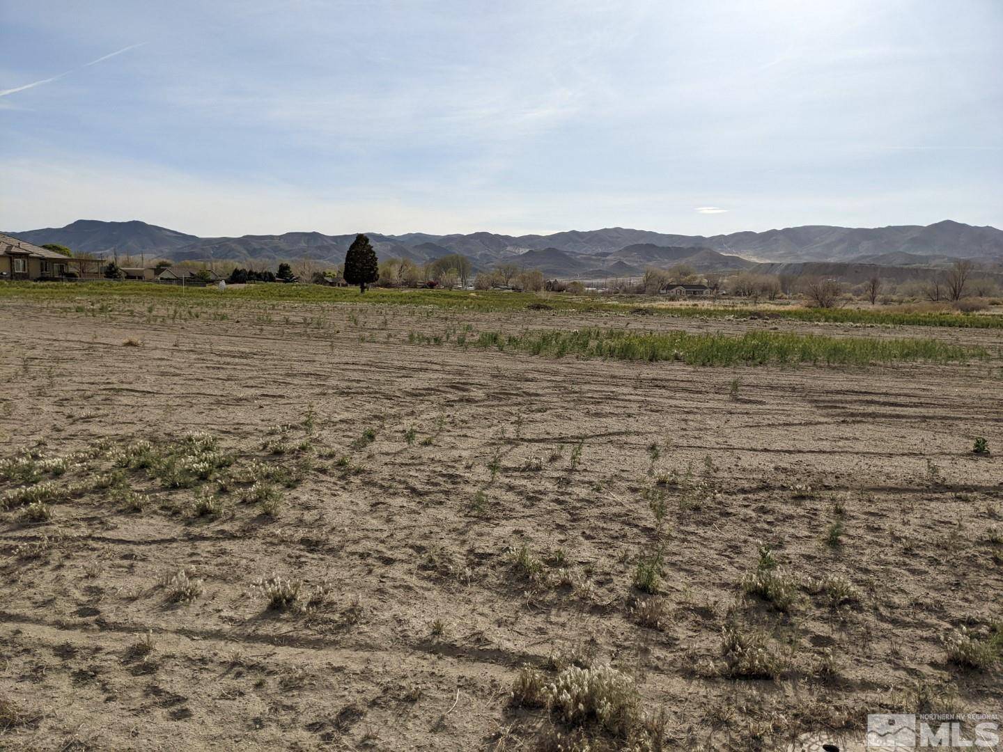Yerington, NV 89447,907 S Whitacre ST Street