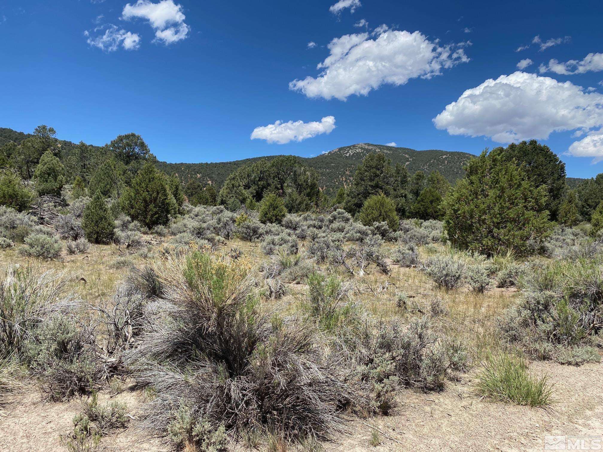 Carson City, NV 89701,tbd El Dorado CYN Canyon