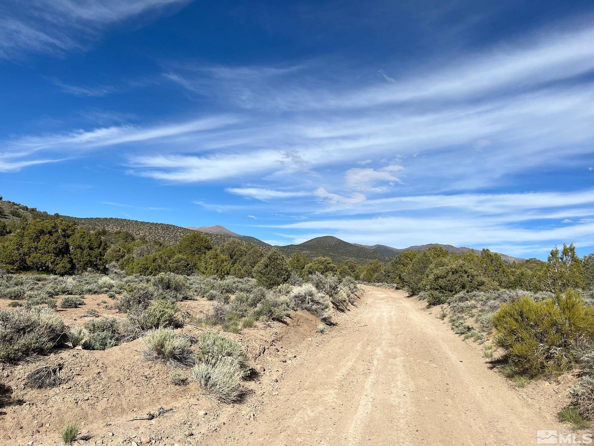 Gardnerville, NV 89410,TBD Stockyard Rd East (68) TRL Trail #68