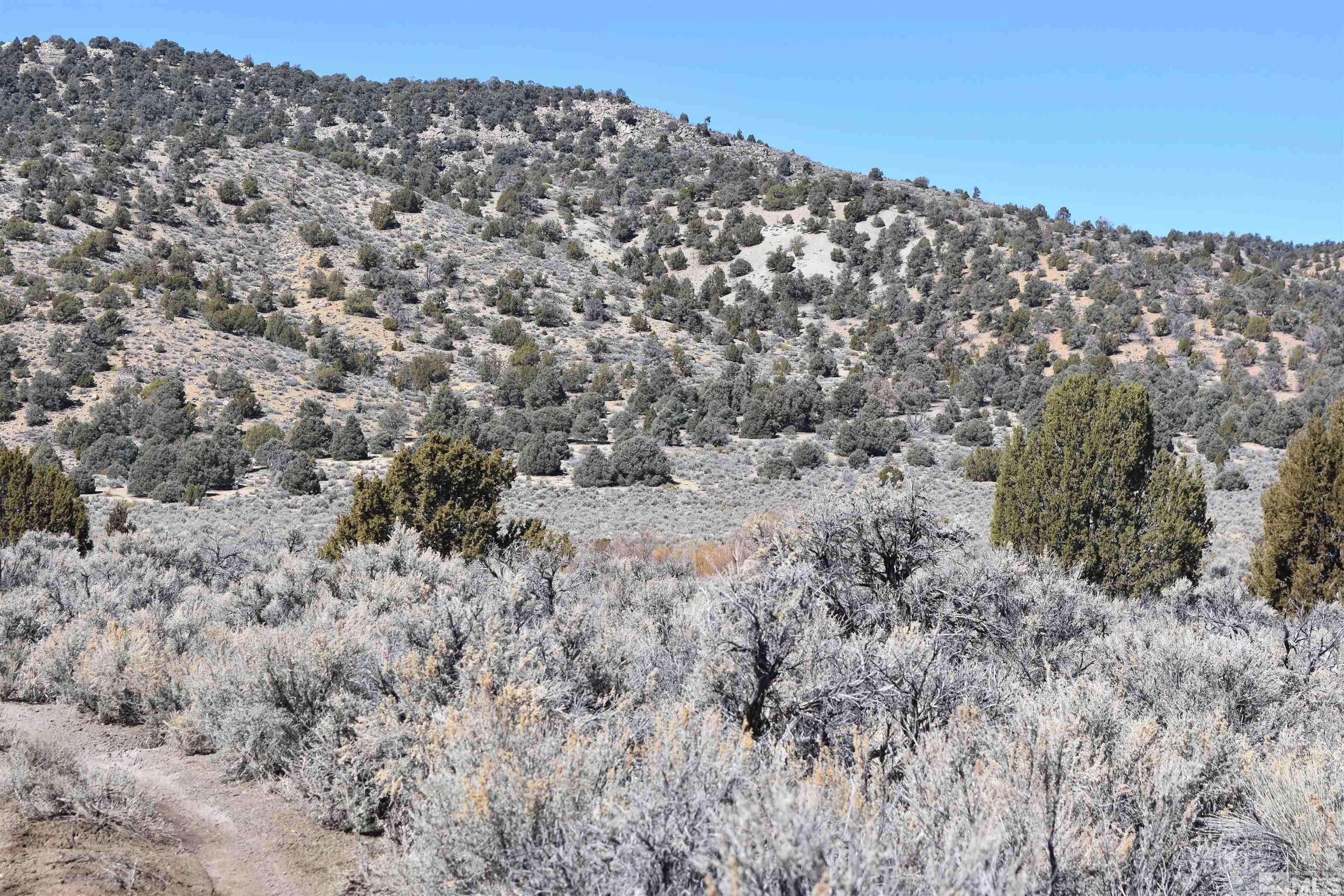 Gardnerville, NV 89410,TBD Pine Nut (53) TRL Trail #53