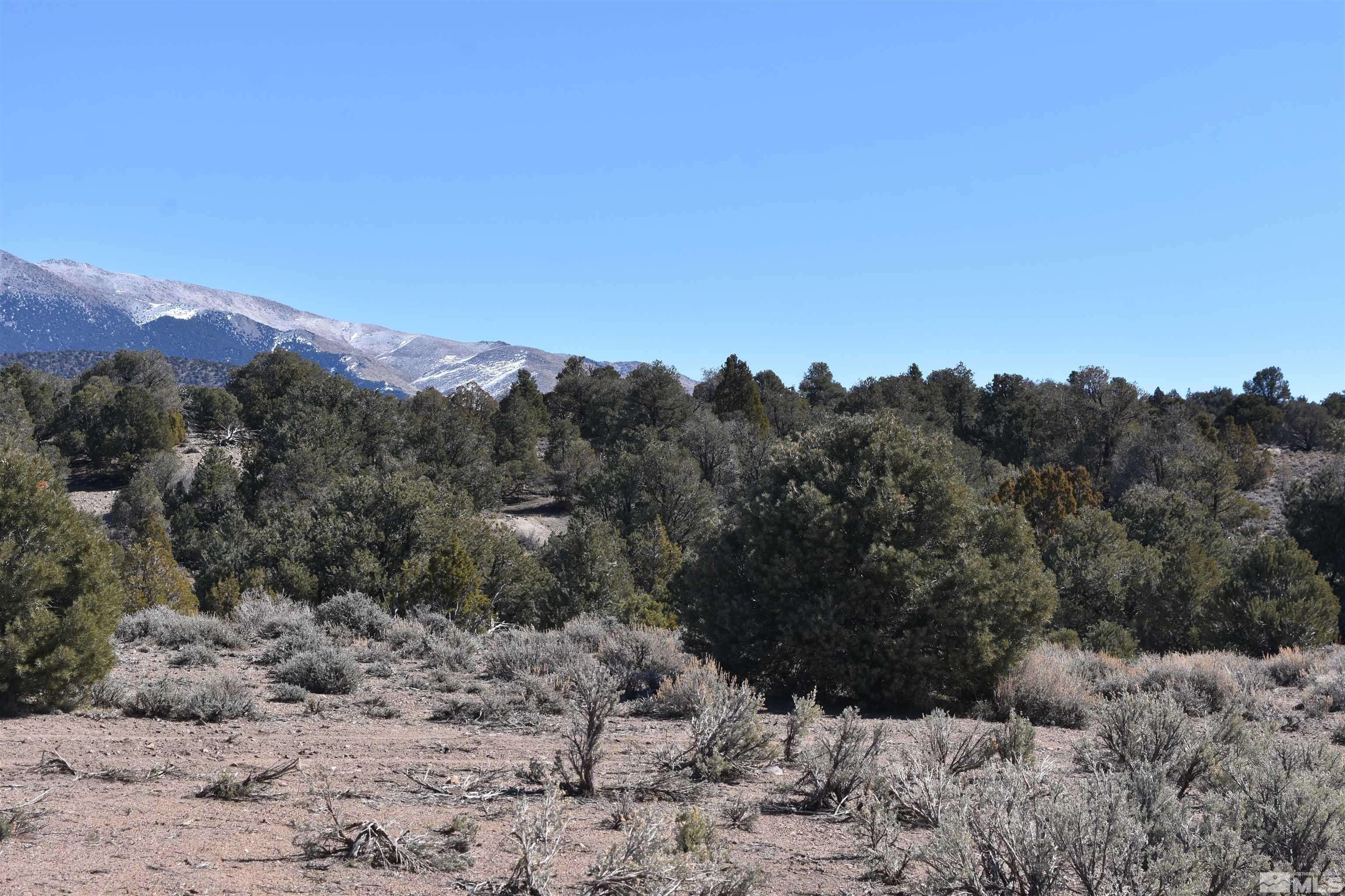 Gardnerville, NV 89410,TBD South of Buckeye Creek TRL Trail #59