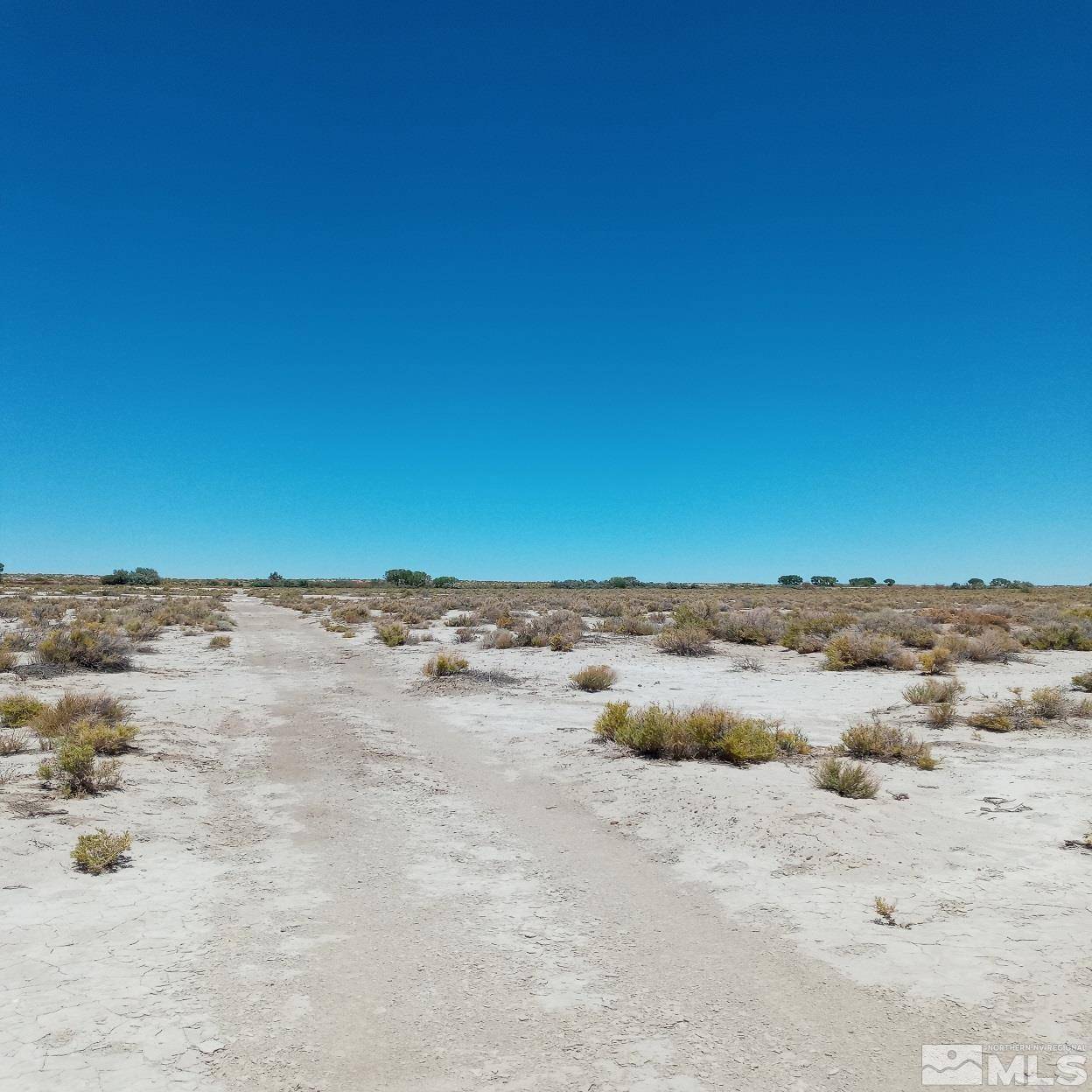 Fallon, NV 89406,APN # 007-091-60