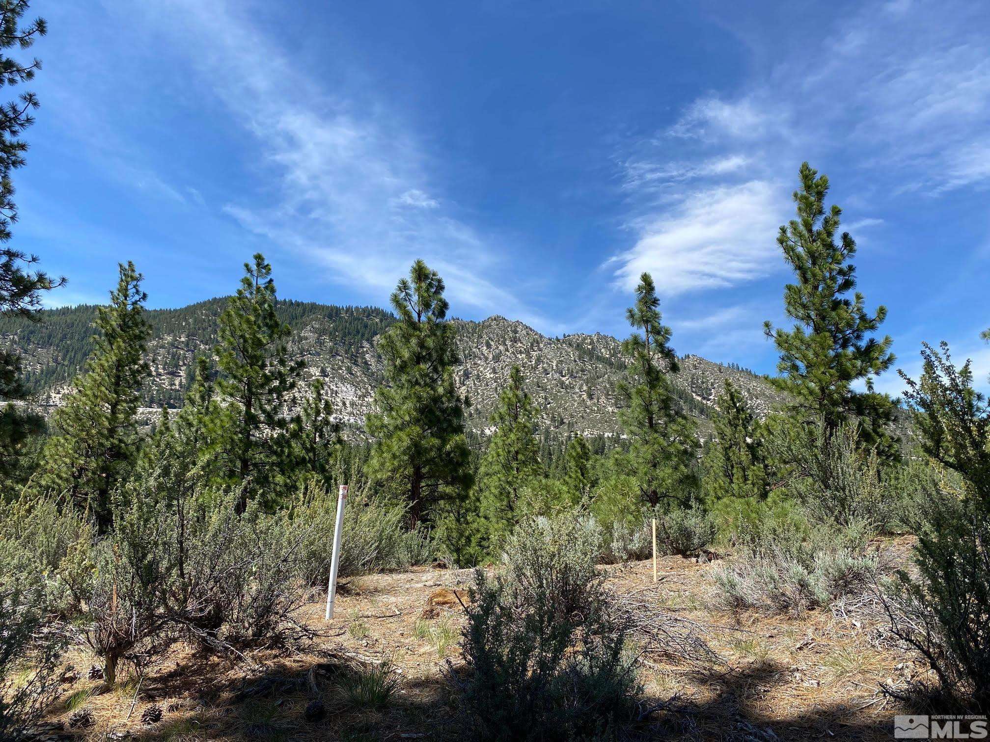 Carson City, NV 89705,122 Chamberlain CT Court