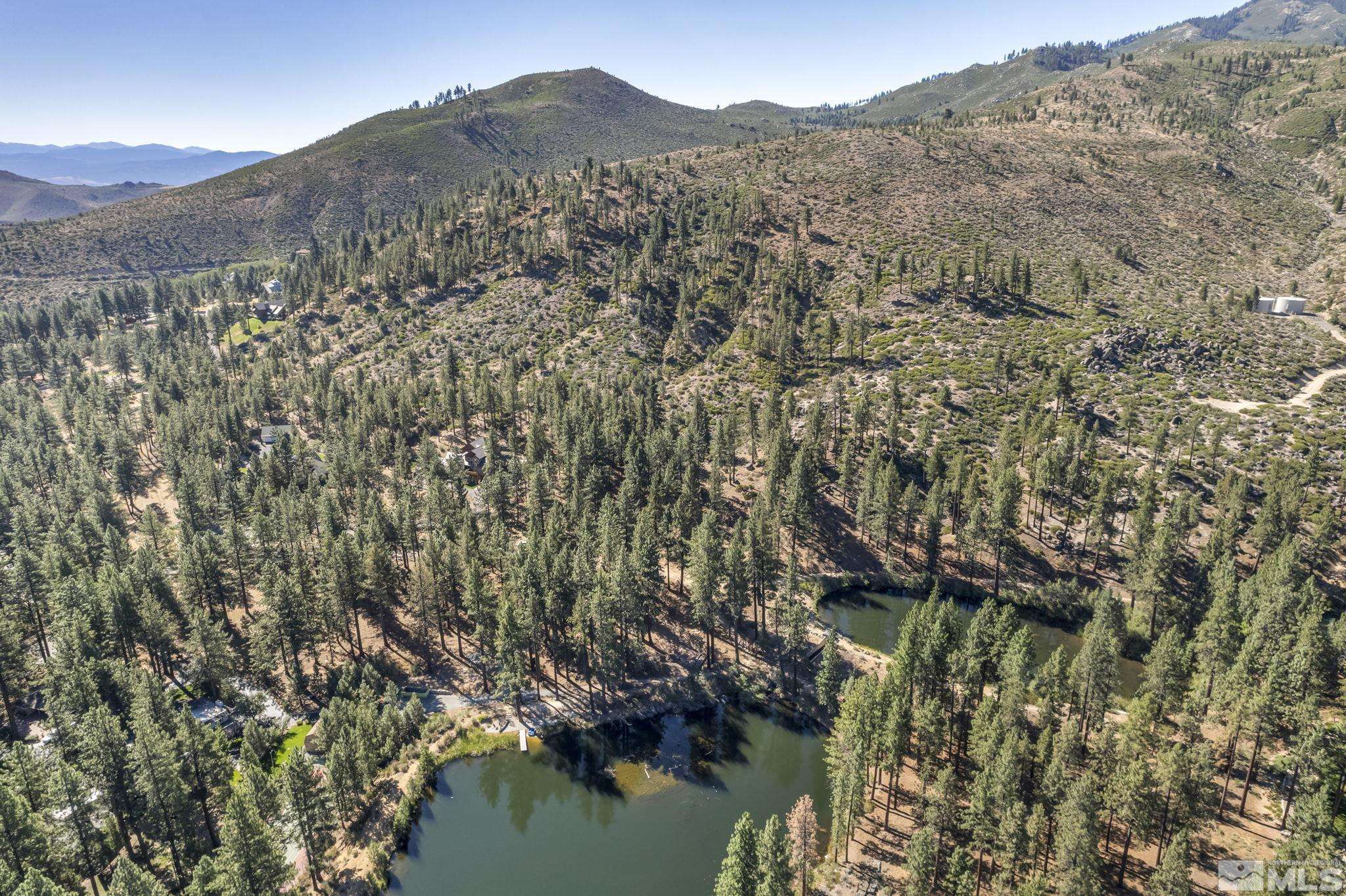 Washoe Valley, NV 89704,0 Franktown CT Court