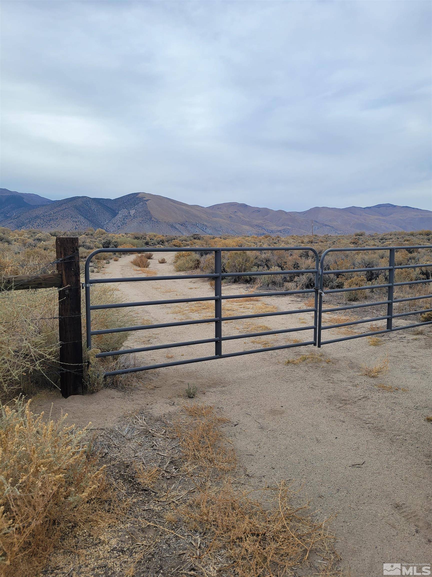 Wellington, NV 89444,277 Burke