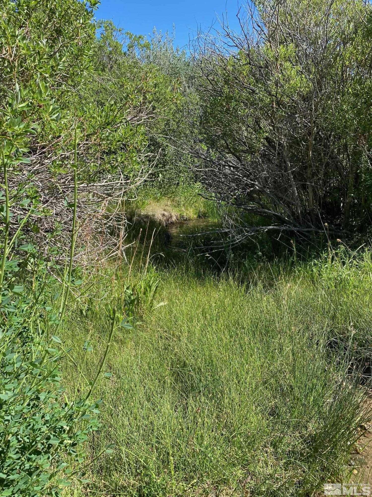 Smith, NV 89447,TBD El Dorado CYN Canyon