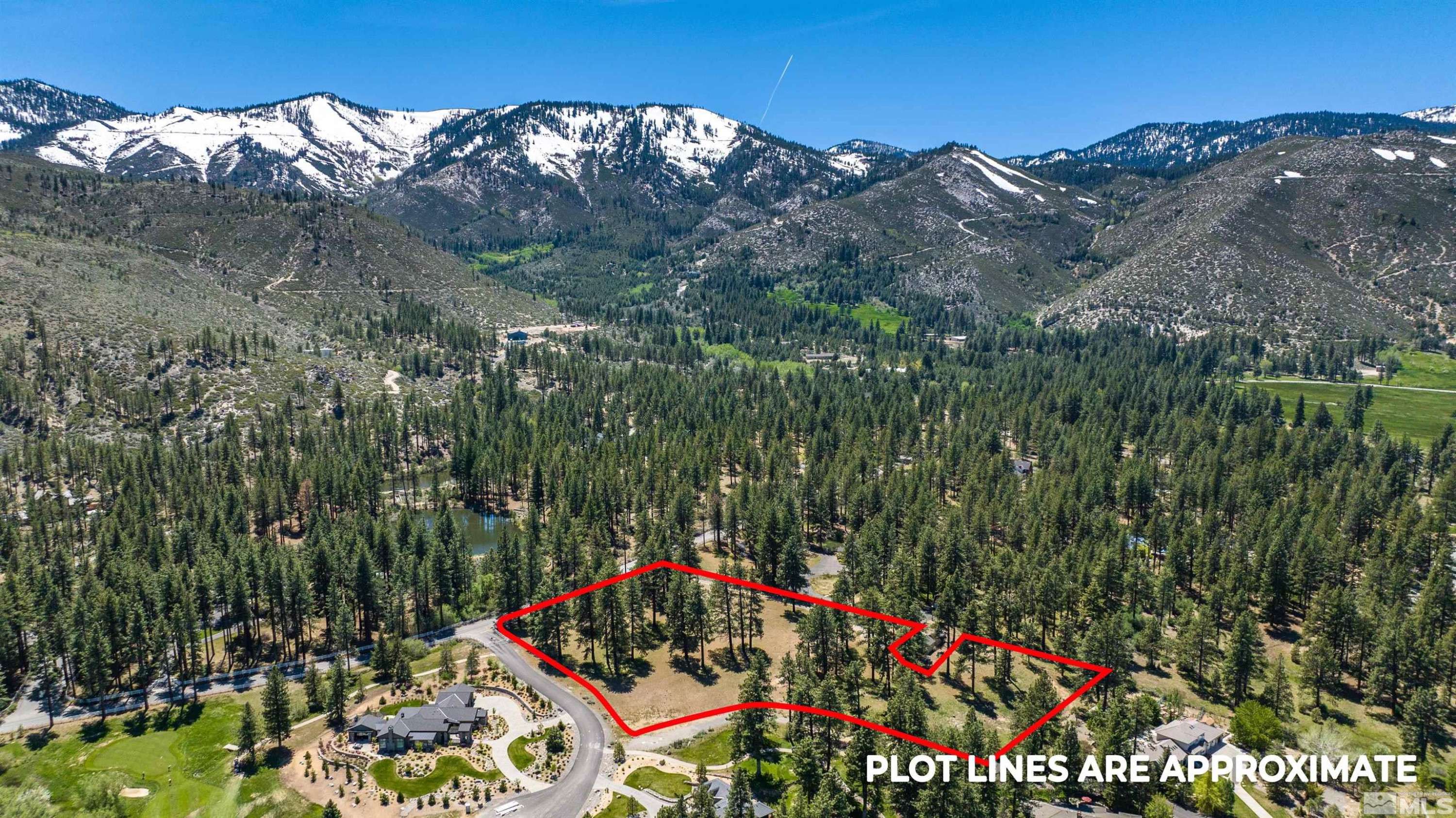 Washoe Valley, NV 89704,1 Pine Mesa CT