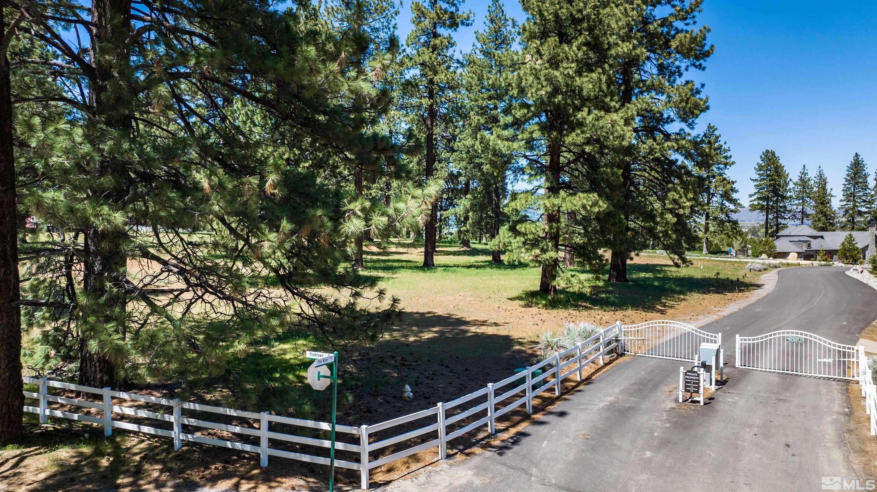 Washoe Valley, NV 89704,1 Pine Mesa CT Court