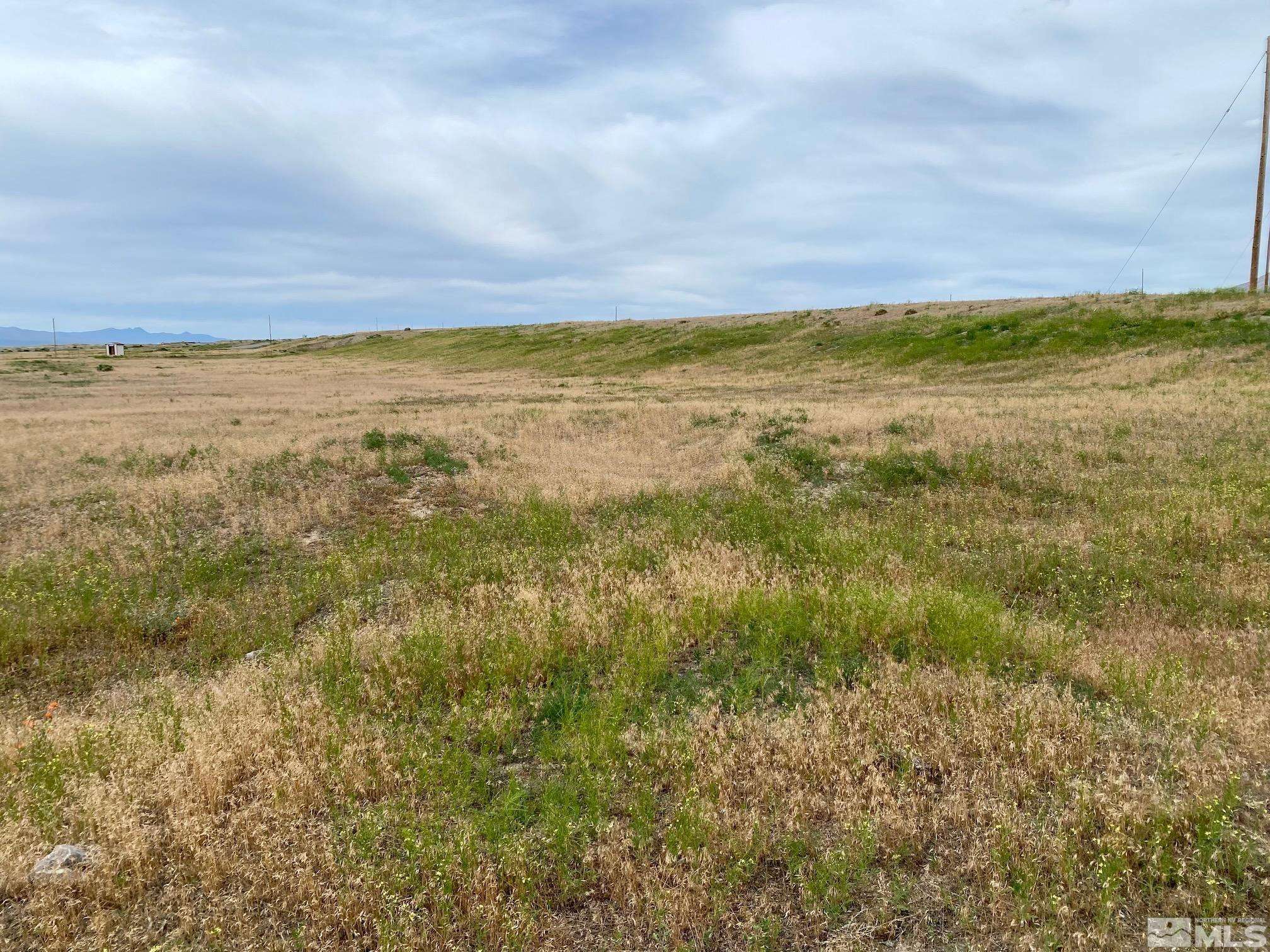 Lovelock, NV 89419,11350 Indian Creek CT Court