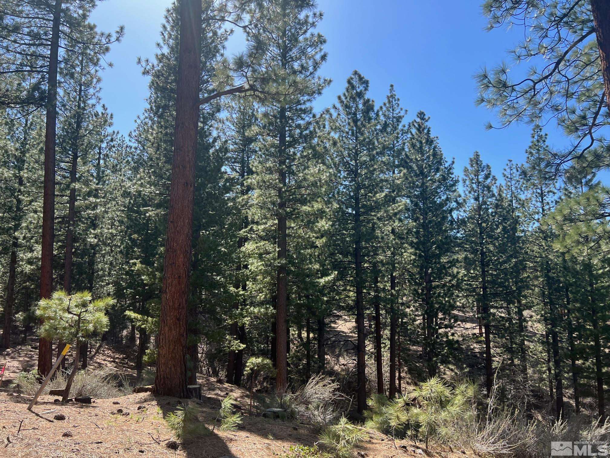 Carson City, NV 89705,140 Walton Toll RD