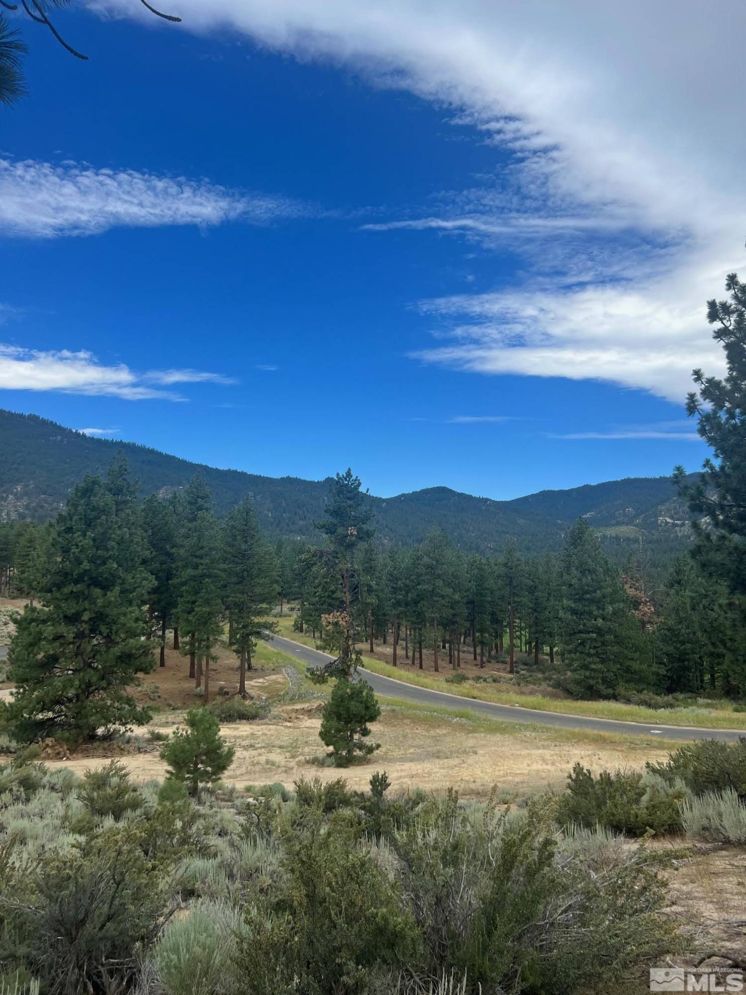 Carson City, NV 89705,569 Headwaters WAY Way