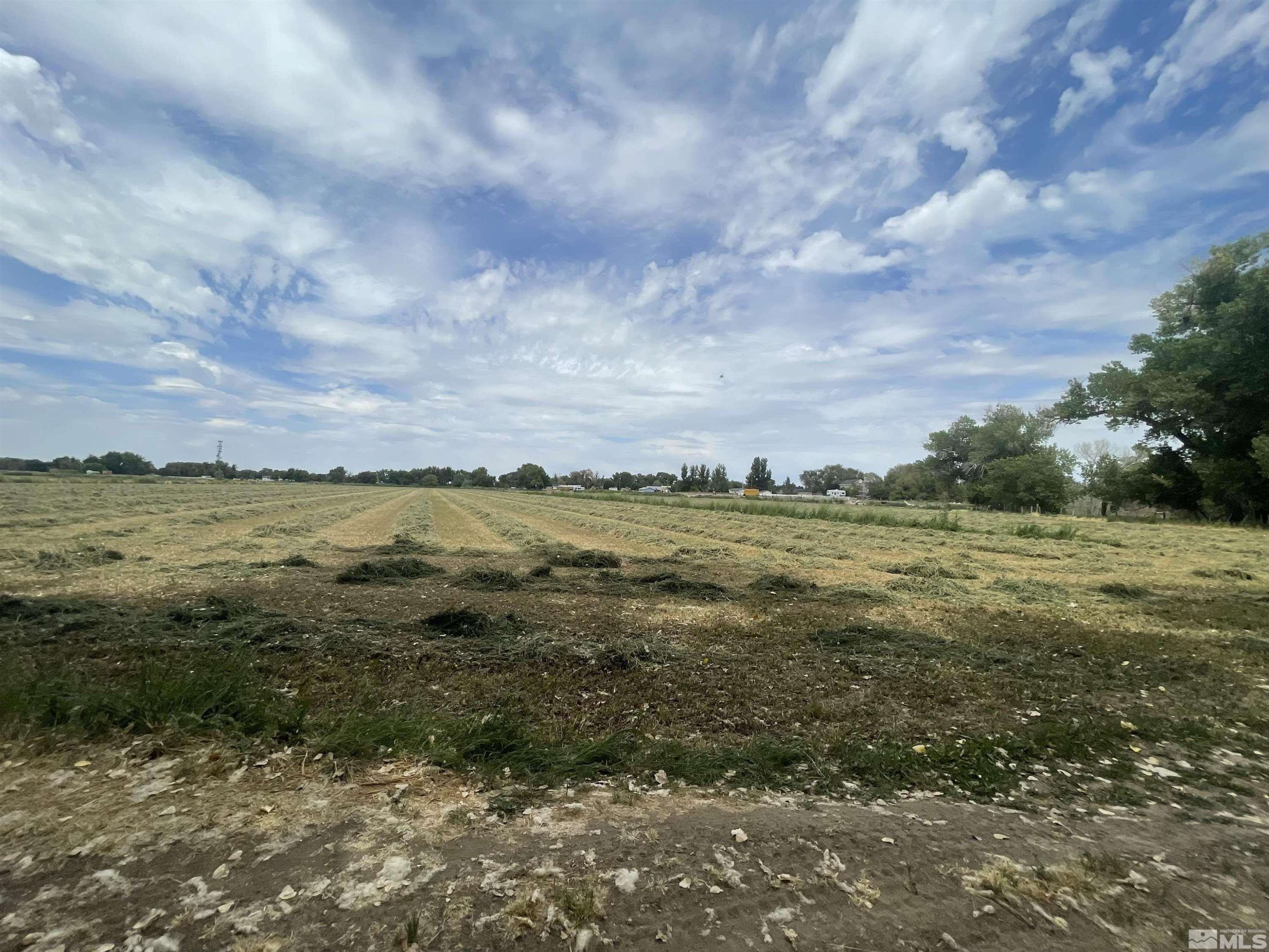 Fallon, NV 89406,000 McLean
