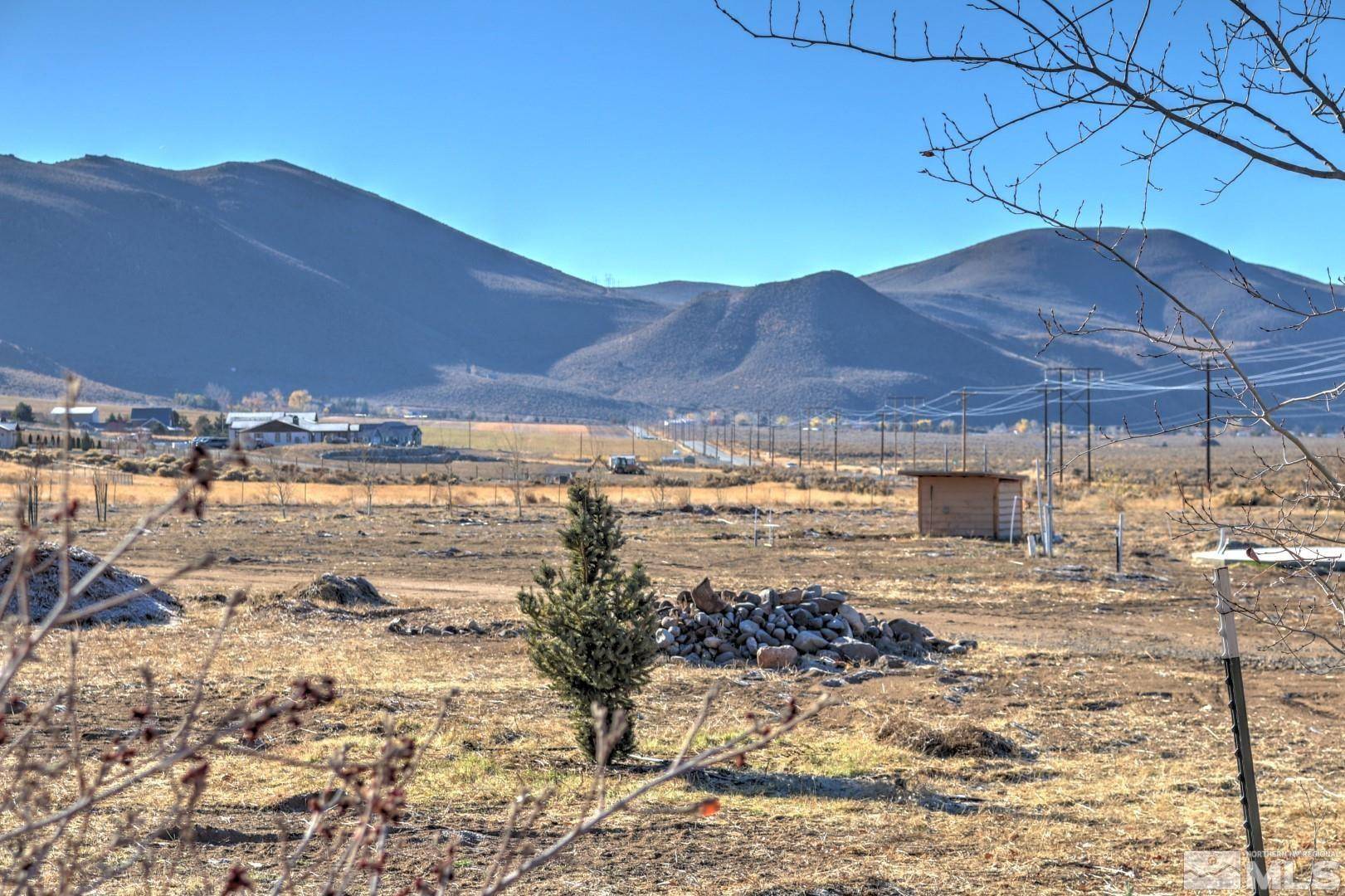 Washoe Valley, NV 89704,4800 Leo Bingo CT Court