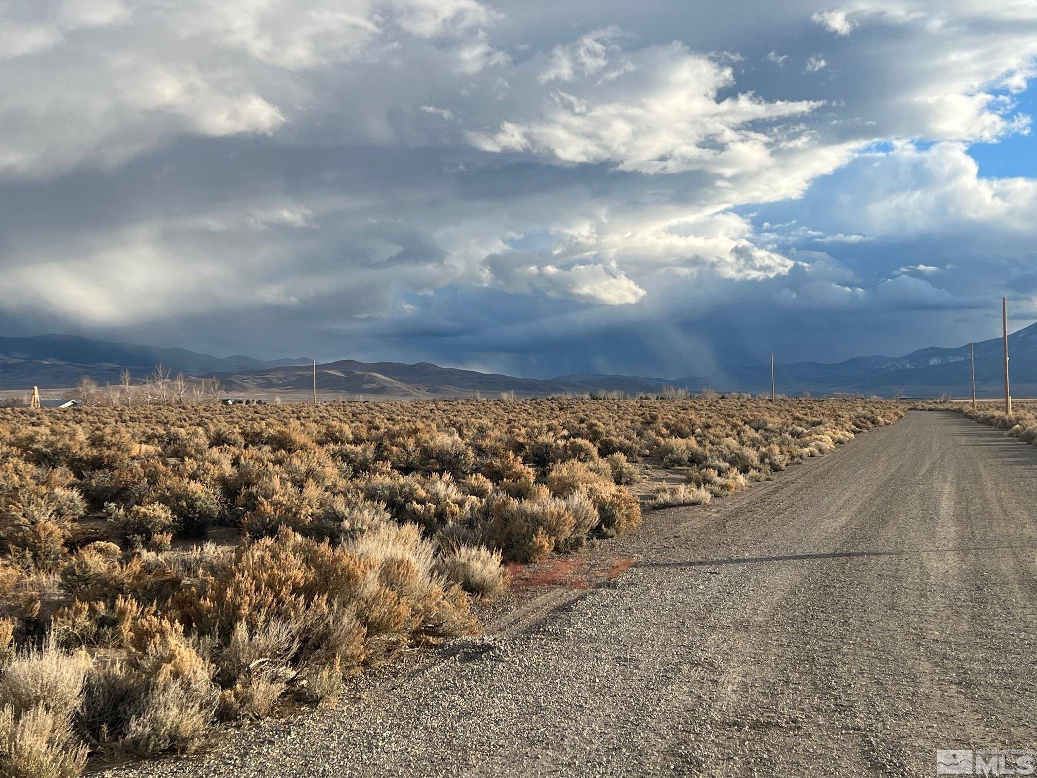 Smith, NV 89430,6 Acciari RD Road